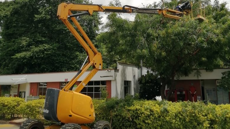 Plataformas elevadoras para poda de arboles en Bucaramanga